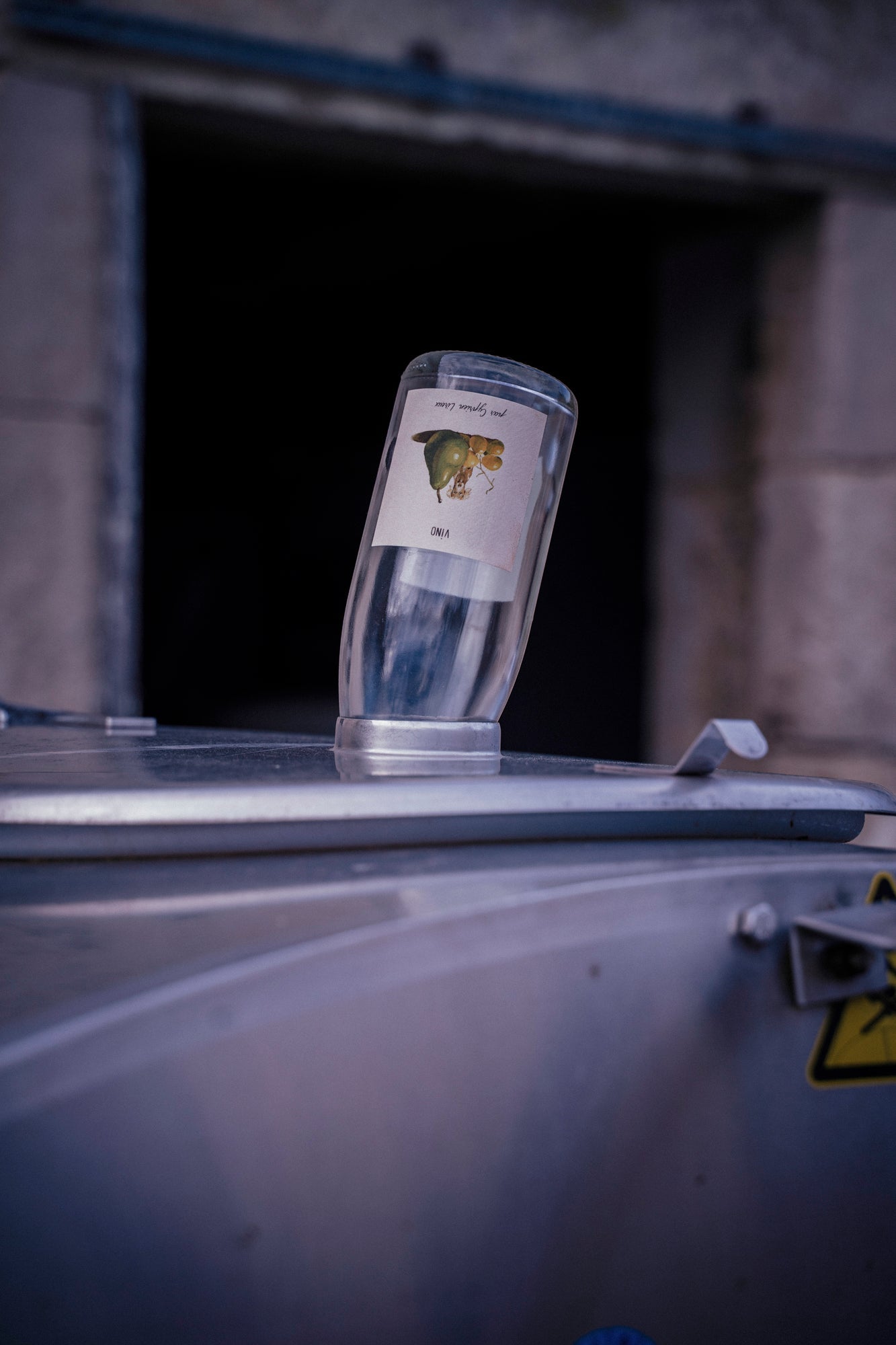 DOMAINE CYPRIEN LIREUX